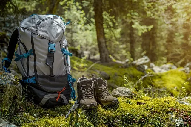 Fliegenpilz Perhab KG Sommer | Wandern